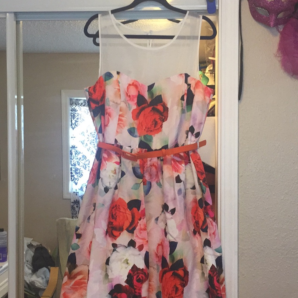 City chic knee length tea dress